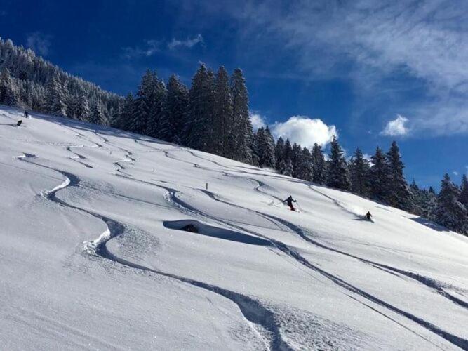 Holiday Flat Daniela, Hippach Im Zillertal ภายนอก รูปภาพ
